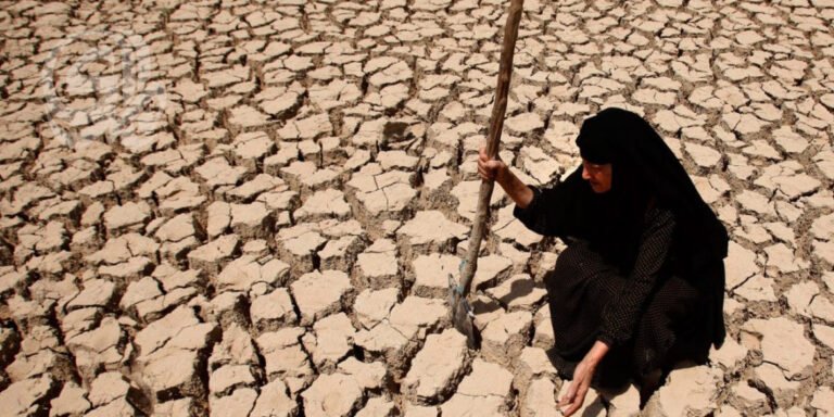 جفاف-يهدد-الأمن-الغذائي-تحذيرات-برلمانية-وبيئية-من-تفاقم-أزمة.jpg