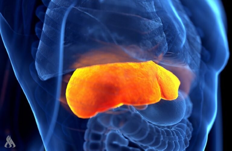 ابتكار-طبي-يكشف-السبب-الخفي-لأمراض-الكبد.jpg