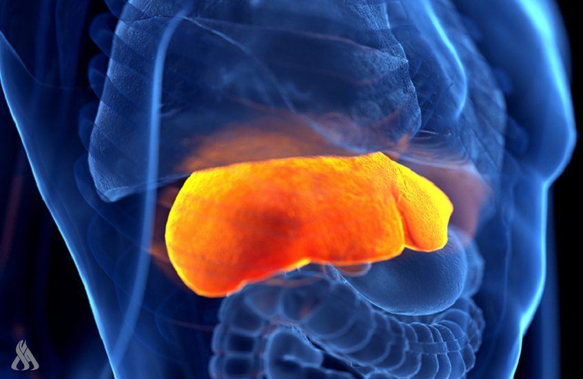 ابتكار-طبي-يكشف-السبب-الخفي-لأمراض-الكبد.jpg