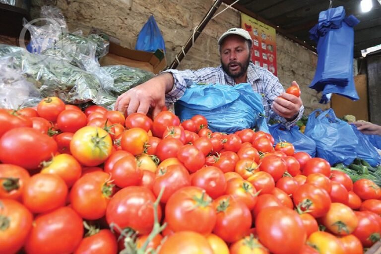 أزمة-الطماطم-تكشف-هشاشة-إدارة-القطاع-الزراعي-في-العراق.jpg