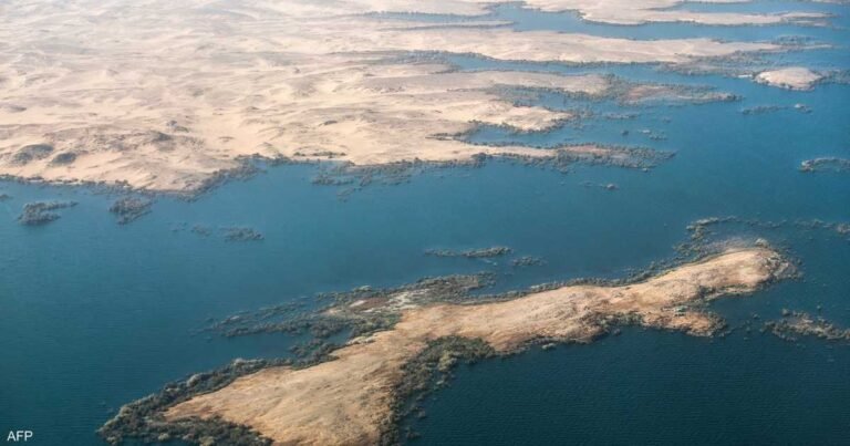 تماسيح-النيل-في-خطر-بقعة-زيت-تهدد-بحيرة-ناصر-المصرية.jpg