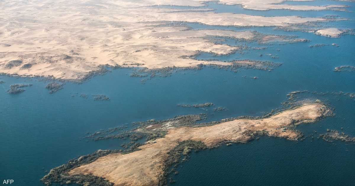 تماسيح-النيل-في-خطر-بقعة-زيت-تهدد-بحيرة-ناصر-المصرية.jpg