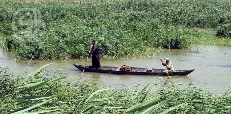 134-نوعاً-مهدداً-بالانقراض-العراق-يخسر-تنوعه-الأحيائي.jpg