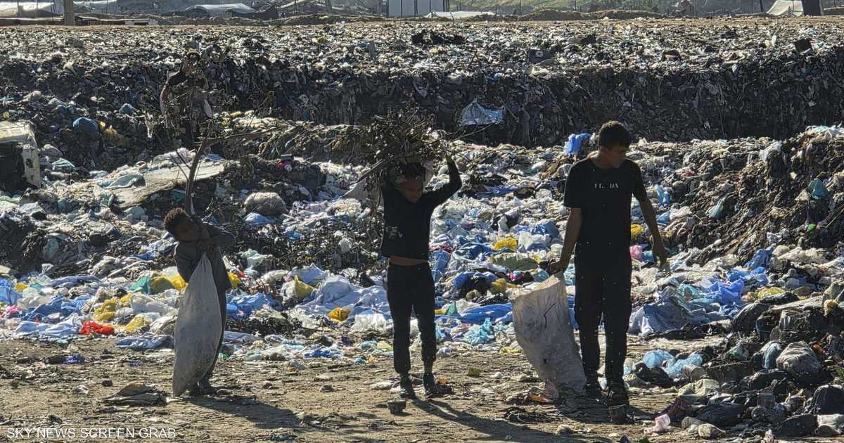 بالصور-جمع-الحطب-مهنة-محفوفة-بالمخاطر-قرب-الخط-الأصفر-بغزة.jpeg