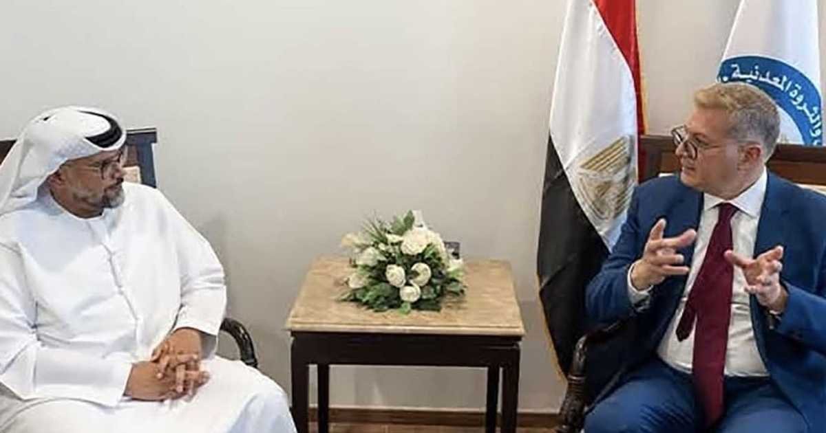 مصر-والإمارات-تبحثان-توسيع-الشراكة-في-مجال-البترول-والطاقة.jpeg